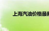 上海汽油价格最新动态及市场分析