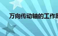 万向传动轴的工作原理及应用领域探讨