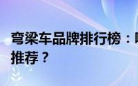 弯梁车品牌排行榜：哪个牌子的弯梁车最值得推荐？