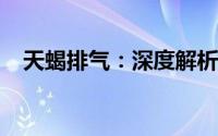 天蝎排气：深度解析性能优势与技术特点