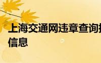 上海交通网违章查询指南：轻松掌握车辆违章信息