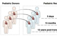 基因组研究揭示了移植儿科心脏的免疫微环境