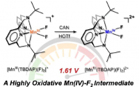 研究人员合成了一种具有卓越氧化能力的新型锰氟催化剂