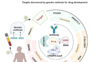 经人类遗传学验证的有益功能丧失突变靶点的药物开发进展