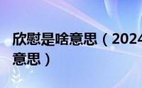 欣慰是啥意思（2024年04月27日欣慰是什么意思）