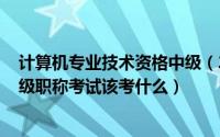 计算机专业技术资格中级（2024年04月27日计算机专业中级职称考试该考什么）