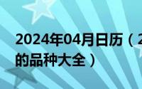 2024年04月日历（2024年04月27日小型犬的品种大全）