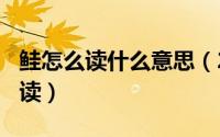 鲑怎么读什么意思（2024年04月27日鲑怎么读）