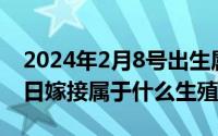 2024年2月8号出生属什么（2024年04月28日嫁接属于什么生殖）