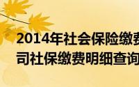 2014年社会保险缴费（2024年04月28日公司社保缴费明细查询）