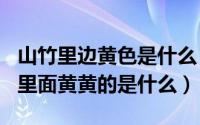 山竹里边黄色是什么（2024年04月28日山竹里面黄黄的是什么）