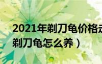 2021年剃刀龟价格走势（2024年04月28日剃刀龟怎么养）