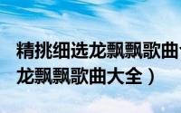 精挑细选龙飘飘歌曲合集（2024年04月28日龙飘飘歌曲大全）