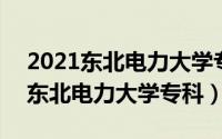 2021东北电力大学专科（2024年04月28日东北电力大学专科）