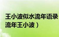 王小波似水流年语录（2024年04月28日似水流年王小波）