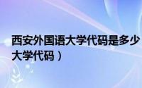 西安外国语大学代码是多少（2024年04月28日西安外国语大学代码）