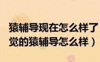 猿辅导现在怎么样了（2024年04月28日大家觉的猿辅导怎么样）