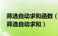 筛选自动求和函数（2024年04月28日excel筛选自动求和）