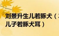 刘景升生儿若豚犬（2024年04月28日刘景升儿子若豚犬耳）