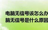 电脑无信号该怎么办?（2024年04月28日电脑无信号是什么原因）