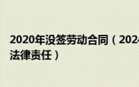 2020年没签劳动合同（2024年04月29日不签订劳动合同的法律责任）