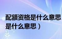 配额资格是什么意思（2024年04月29日配额是什么意思）