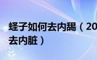 蛏子如何去内舓（2024年04月29日蛏子怎么去内脏）