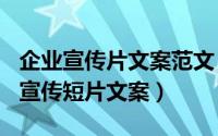 企业宣传片文案范文（2024年04月29日企业宣传短片文案）