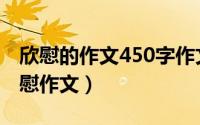 欣慰的作文450字作文（2024年04月29日欣慰作文）