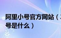 阿里小号官方网站（2024年04月30日阿里小号是什么）