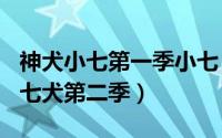 神犬小七第一季小七（2024年04月30日神小七犬第二季）