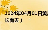 2024年04月01日黄历（2024年04月30日扬长而去）