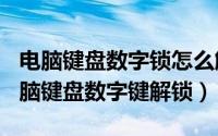 电脑键盘数字锁怎么解（2024年04月30日电脑键盘数字键解锁）