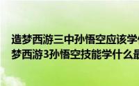 造梦西游三中孙悟空应该学什么技能（2024年04月30日造梦西游3孙悟空技能学什么最好）