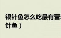 银针鱼怎么吃最有营养（2024年04月30日银针鱼）