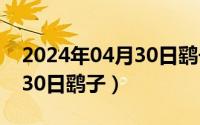 2024年04月30日鹞子怎么样（2024年04月30日鹞子）