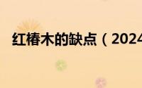 红椿木的缺点（2024年04月30日红椿木）