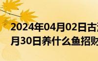 2024年04月02日古浪超员事件（2024年04月30日养什么鱼招财）