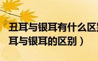 丑耳与银耳有什么区别（2024年04月30日丑耳与银耳的区别）