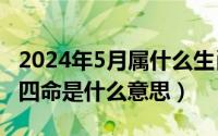 2024年5月属什么生肖（2024年05月01日东四命是什么意思）