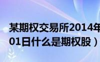 某期权交易所2014年4月20日（2024年05月01日什么是期权股）