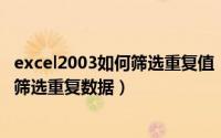 excel2003如何筛选重复值（2024年05月01日怎么用excel筛选重复数据）