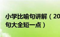 小学比喻句讲解（2024年05月01日小学比喻句大全短一点）