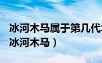 冰河木马属于第几代木马（2024年05月01日冰河木马）