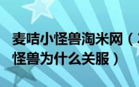 麦咭小怪兽淘米网（2024年05月01日麦咭小怪兽为什么关服）