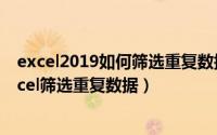 excel2019如何筛选重复数据（2024年05月01日怎么用excel筛选重复数据）