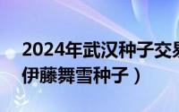 2024年武汉种子交易会（2024年05月01日伊藤舞雪种子）