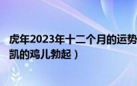 虎年2023年十二个月的运势及运程（2024年05月01日王俊凯的鸡儿勃起）