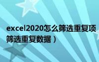 excel2020怎么筛选重复项（2024年05月01日怎么用excel筛选重复数据）