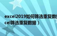 excel2019如何筛选重复数据（2024年05月01日怎么用excel筛选重复数据）